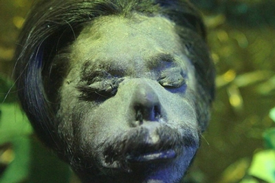 Ripley's Believe It or Not! St. Augustine Image #10 Ripley's Believe It or Not! St. Augustine Image #10